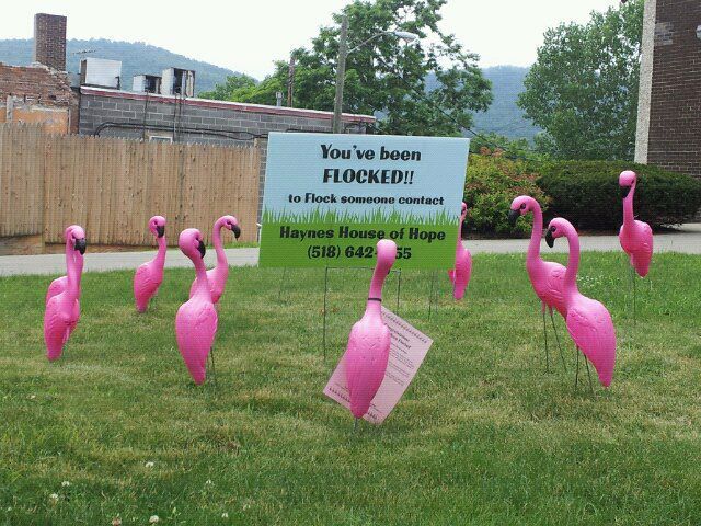 Pink Flamingo Prank - Event Fundraising Ideas